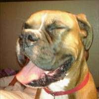 guy14858's profile picture. 