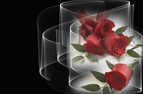 ggcccc8301's profile picture. 