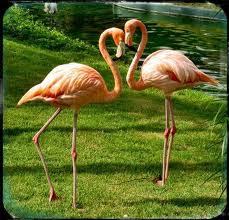 Annabell369's profile picture. Cayman. Uniqueness. Nerve. Taranaki.