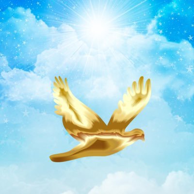 certy2121's profile picture. 好きな人、モノを増やす