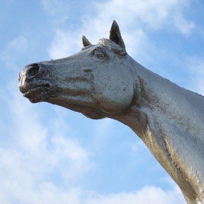 PN.志馬悠／淀を中心に活動。物心ついた時から競馬ファン。馬事文化を愛し、馬が創る物語を丁寧に読み進め、小さな魅力を育む言葉を紡ぎたい／競馬の雑感と一口愛馬の応援がメイン／ウマフリさんに時々寄稿しています。https://t.co/m2hDzaqQ6A