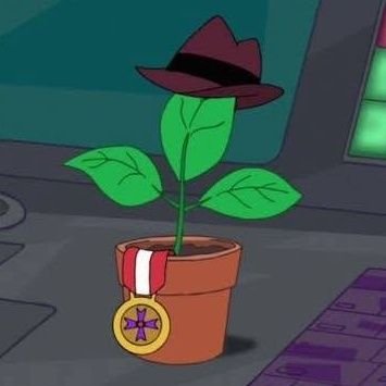 PlantiYlaMaceta's profile picture. 