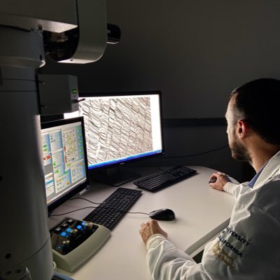 Neuroscientist studying the photoreceptor and RPE cells 👁❤💛💜