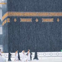 أحسن الحديث. (@cvth9) 's Twitter Profile