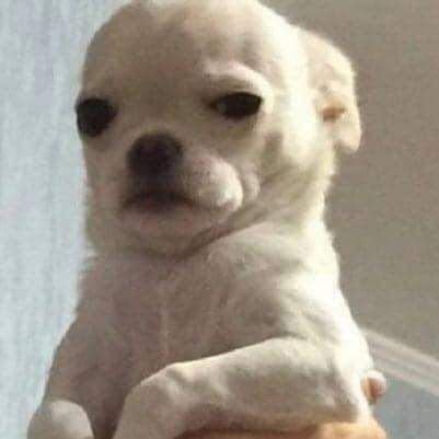 usershames's profile picture. me río de todo, pero por dentro lloro.