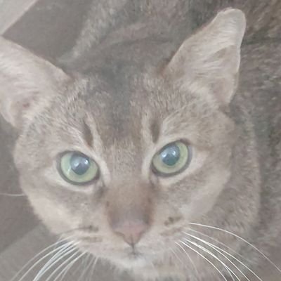 萩どんさんのプロフィール画像
