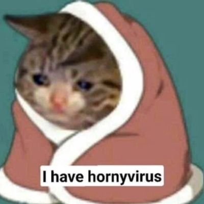 hi