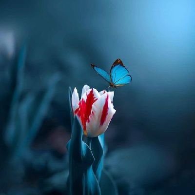 ramrd82's profile picture. 😍Ramdas😍