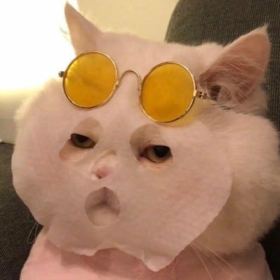 myuniverse8989's profile picture. 