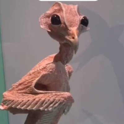 Yeah_ipoop's profile picture. She/her