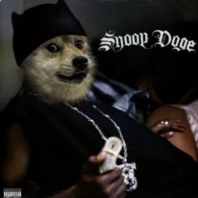 evanncarlson's profile picture. finding my place in the world