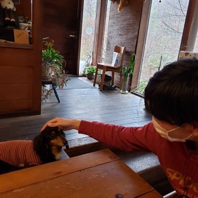 1ZZxwAPqA0eBY5b's profile picture. 大学生2年生 Progate学習記録用 よろしくお願いします！趣味はスノボ！将来就きたい職はwebエンジニアです笑2020.11.29〜