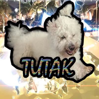 TCUTutakk Profile Picture