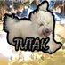 tutak (@TCUTutakk) Twitter profile photo