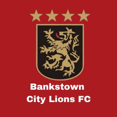 Visit Bankstown City Lions FC Profile