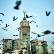 ام سلطان 🌸🍃 (@umm4680) 's Twitter Profile Photo