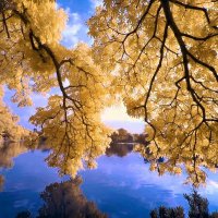 Florinda Boardman (@florindaboardm1) 's Twitter Profile