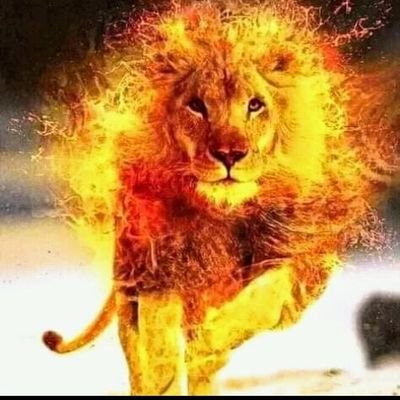 EletuAbdulfata1's profile picture. Gentle....