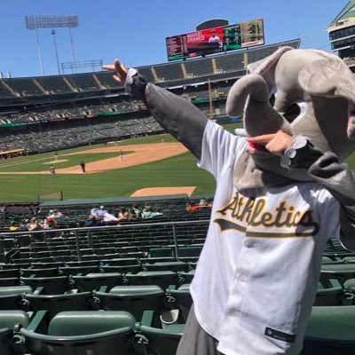 Self-appointed deputy to the best mascot in America, @Stomper00. Mascots make people happy and bring people together. That’s my job.