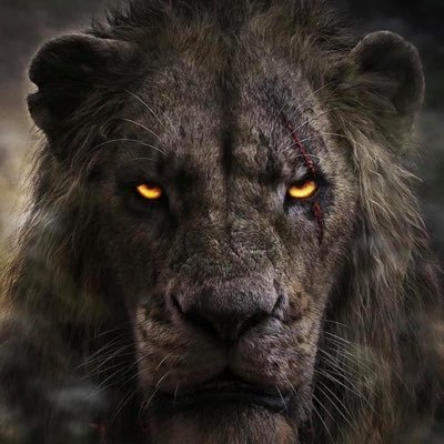 geopronti's profile picture. My love for people