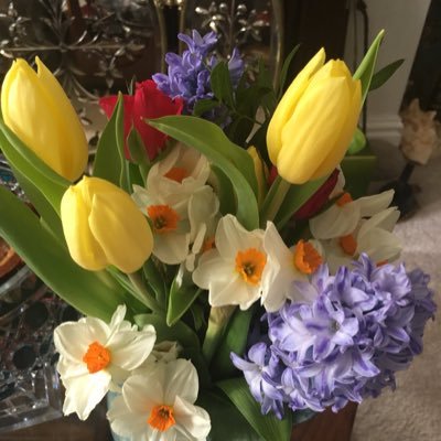 JulieBrierley5's profile picture. Love nature, animals and old things.