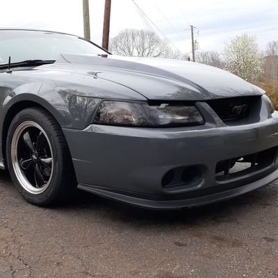 Wayne88780574's profile picture. I am a good ole country boy loving life and family