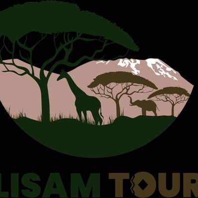 We  provide affordable and fully planned tours tailored to your interests.Explore all the wonders  including safari in the Serengeti , Zanzibar, &Mt.Kilimamjaro