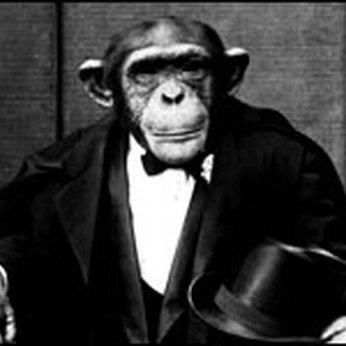 FakeOutSunday's profile picture. szn of all szns