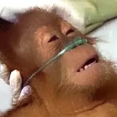 AceCobra11's profile picture. 