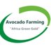 Avocado Farming (@AvocadoKE) Twitter profile photo