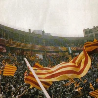 Aplec del valencianisme polític a les Comarques del Nord organitzat per @AccioculturalPV, @Decidim i l’@Ajbetxi ➖https://t.co/38JfnOox7D