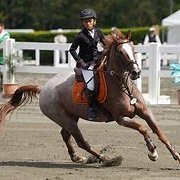 乗馬と競馬が趣味です