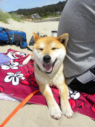 opa_age's profile picture. #Desantis2024