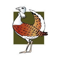 Great Bustard Group (@bustardgroup) 's Twitter Profile
