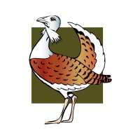 Great Bustard Group(@bustardgroup) 's Twitter Profile Photo