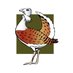 Great Bustard Group (@bustardgroup) Twitter profile photo