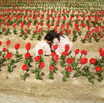 acEiQjt8lMLWfuI's profile picture. 一年中くだものがおいしいところ。
4歳と2歳の年子姉妹子育て中。
寝かしつけ後の晩酌がたのしみ🍻