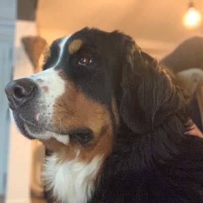 NicolasBarthe77's profile picture. Honnêteté, Justice, patriotisme, chrétienté, combat contre les énergies satanistes.