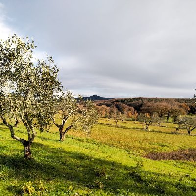 Vacanze Nella Toscana più Bella