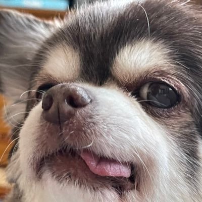 14SRGcPPrr6Sits's profile picture. 