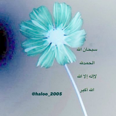 haloo_2005 Profile Picture