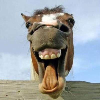 at_kacak's profile picture. 