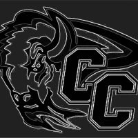 Central City Boys Golf(@ccbisongolf) 's Twitter Profile Photo