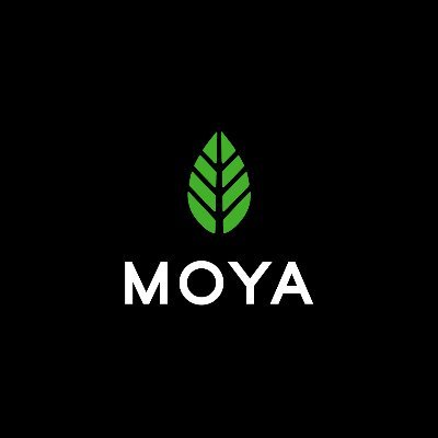 Moya matcha is a premium brand of Japanese organic matcha.