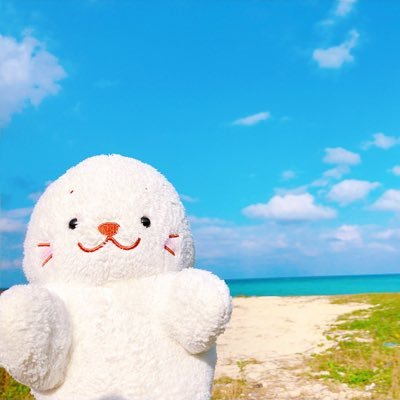 ココミルさんのプロフィール画像