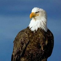 ASİ KARTAL (@tinercikartalll) Twitter profile photo