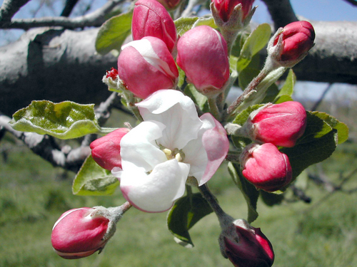 pinksky0406's profile picture. 현효맘입니다.
항상 행복하세요~~*^^*