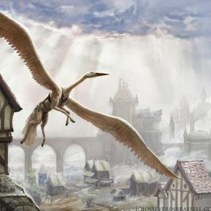 RuferdH's profile picture. chicago