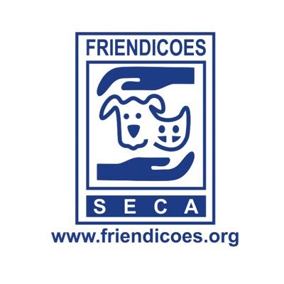 FriendicoesSECA Profile Picture