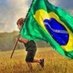 Endireita Brasil! (@Endireitando7) Twitter profile photo